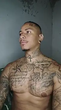 David tatto1 online show from March 2026 03:35:02 AM