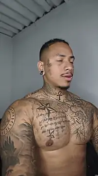 David tatto1 online show from July 2026 03:07:02 AM