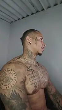 David tatto1 online show from May 2026 01:14:02 AM