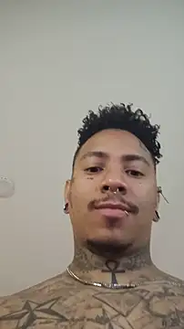 David tatto1 online show from November 2025 02:15:01 AM