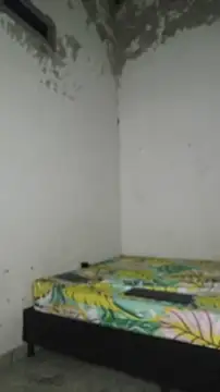 David tatto1 online show from April 2026 03:13:02 AM