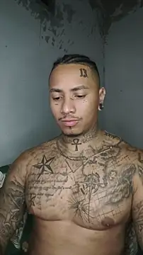 David tatto1 online show from March 2026 03:09:02 AM