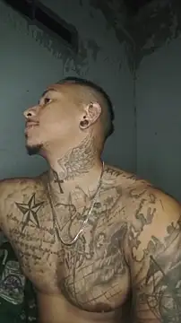 David tatto1 online show from March 2026 03:03:02 AM