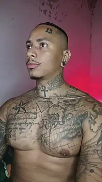 David tatto1 online show from February 2026 03:18:02 AM