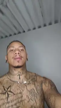 David tatto1 online show from May 2026 03:13:01 AM