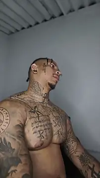 David tatto1 online show from June 2026 03:18:02 AM