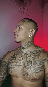 David tatto1 online show from February 2026 03:17:02 AM