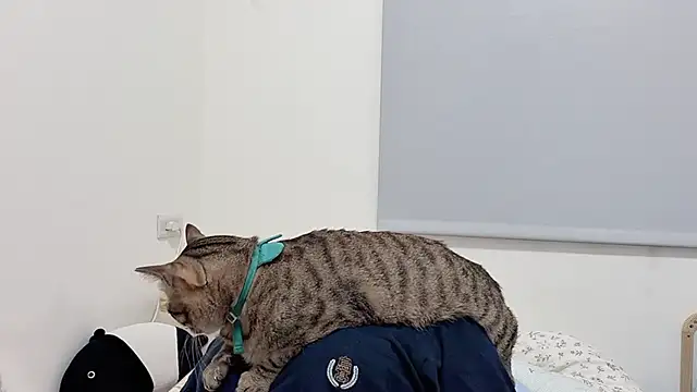 LHeart online show from April 2026 02:24:02 PM