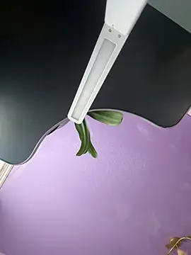 Snapshot of Soft_Pleasure chatting on October 2025 08:34:02 AM Soft Pleasure online show from October 2025 08:34:02 AM