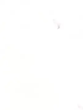 Fox Roxxan online show from December 2025 03:07:01 AM