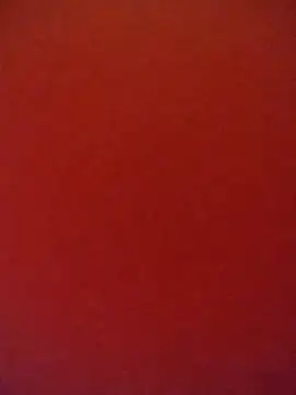 Fox Roxxan online show from October 2025 01:51:02 AM