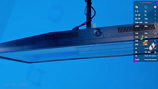 Sebax Young online show from October 2025 09:26:02 PM