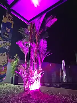 Yessica Lopezz online show from February 2026 10:16:01 AM