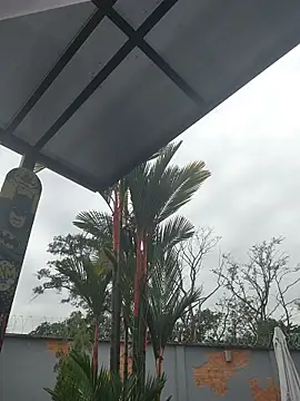 Yessica Lopezz online show from March 2026 11:29:02 AM