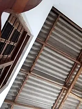 boosypussy online show from November 2025 11:08:02 PM