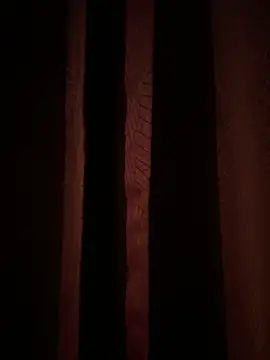 franciscommx online show from November 2025 03:21:02 AM