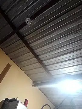 Ortiz3404 online show from November 2025 04:27:02 AM