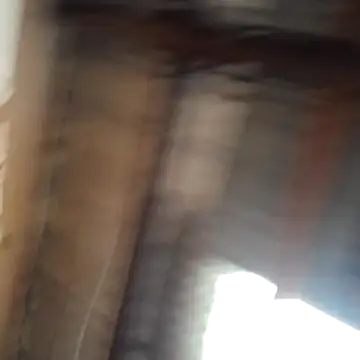 Ortiz3404 online show from March 2026 05:16:01 PM