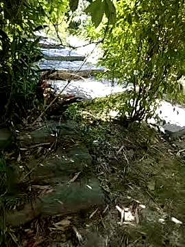 zack23088 online show from October 2025 12:45:02 AM