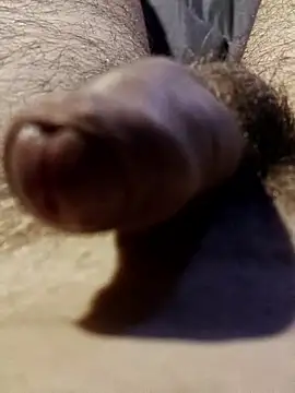 usedseller online show from November 2025 08:48:02 AM