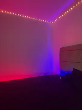 EmilyNoir1 online show from February 2026 02:15:01 PM