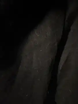 pikuslordpll online show from December 2025 08:13:01 AM