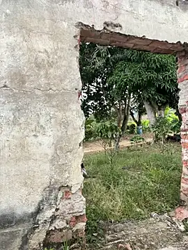 Jacksonfranco online show from December 2025 10:04:01 PM