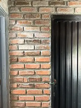 Jacksonfranco online show from November 2025 04:33:02 PM