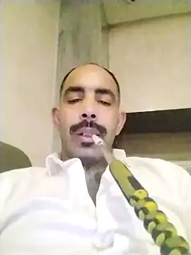 Snapshot of salimbasha chatting on November 2025 07:25:02 PM salimbasha online show from November 2025 07:25:02 PM