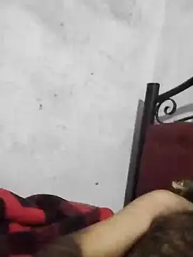 salimbasha online show from April 2026 05:56:02 AM