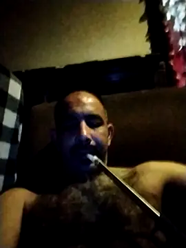 salimbasha online show from May 2026 03:17:02 AM