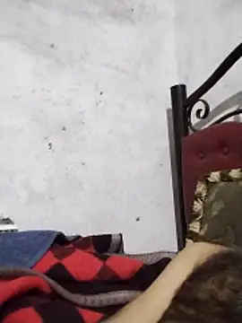 salimbasha online show from March 2026 01:51:02 AM