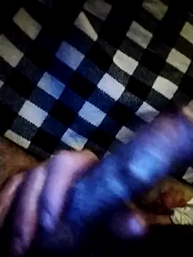 salimbasha online show from February 2026 03:15:02 AM