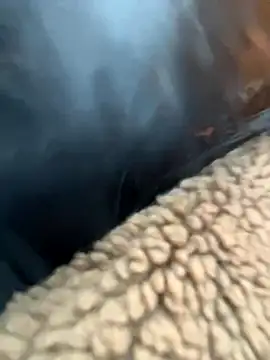 MiraReach online show from November 2025 02:37:01 AM