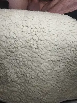 peepformance online show from December 2025 07:35:01 AM