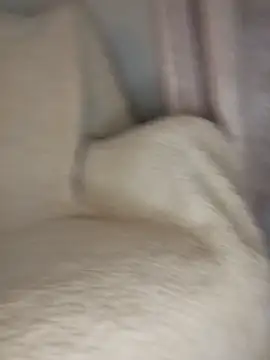 peepformance online show from October 2025 09:29:01 AM