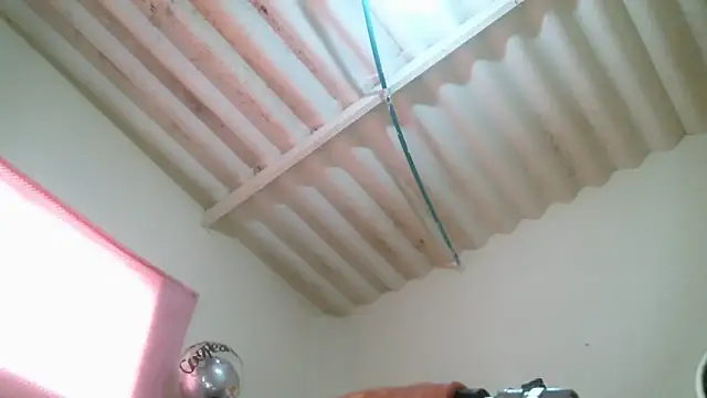 Monserrat Sweet online show from November 2025 08:56:02 PM