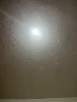 sophiemonroevip online show from March 2026 11:41:01 AM