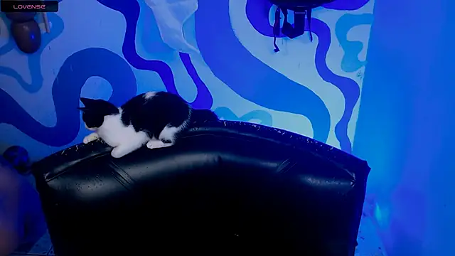 IrisSmil3 online show from October 2025 02:38:02 PM