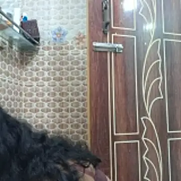 Bristy- online show from November 2025 11:25:01 AM