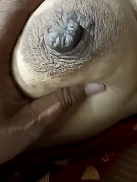 indianbhabi2366 online show from October 2025 05:02:02 PM