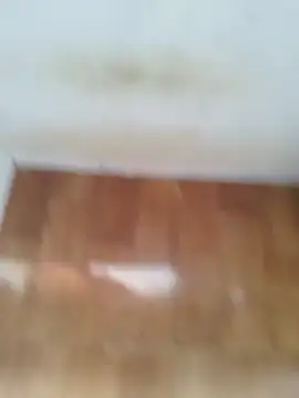 O Mascarado NK online show from March 2026 12:42:02 PM