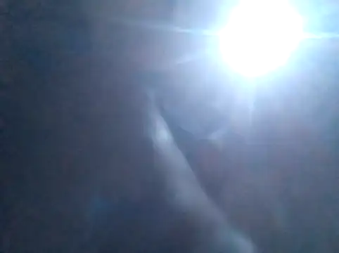 S C1 online show from February 2026 02:13:02 PM