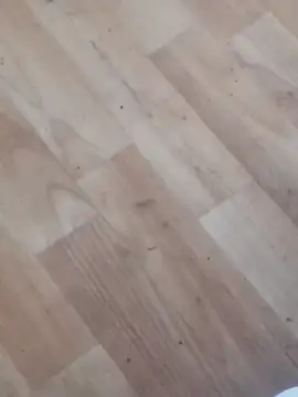 Snapshot of jhoi95 chatting on October 2025 10:32:01 PM jhoi95 online show from October 2025 10:32:01 PM