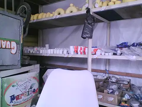 yersey9305 online show from July 2026 04:52:02 PM
