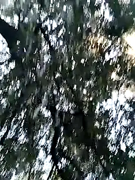 KalendaXL online show from April 2026 04:24:02 PM