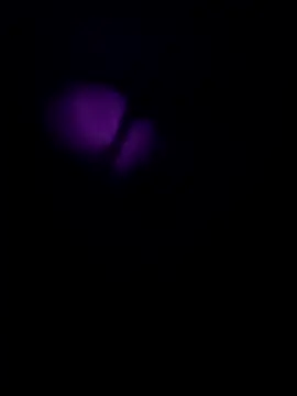 emrekzlk52 online show from May 2026 08:14:01 PM