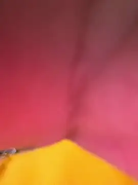 Huitaca  online show from December 2025 06:18:02 AM