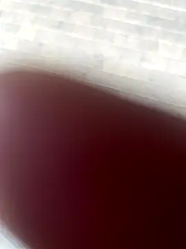 Snapshot of kamo012000 chatting on October 2025 02:39:01 PM kamo012000 online show from October 2025 02:39:01 PM