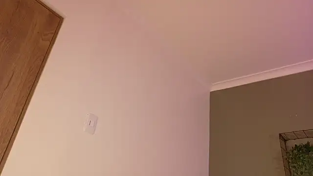 Taylorsmitth  online show from November 2025 11:59:02 AM